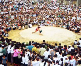 Sới vật hội làng Xuân Cẩm (Hiệp hòa) - Việt Hưng