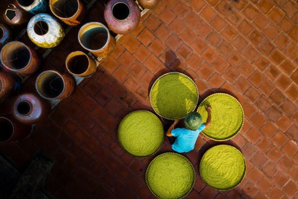 Lên mốc làm tương La - Trần Văn Tuấn