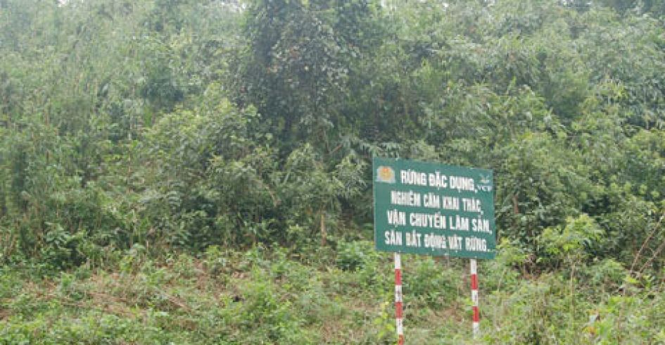 Tây Yên Tử: Tạo vòng cung phát triển du lịch tâm linh