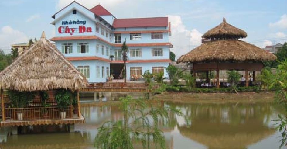 Nhà Hàng Cây Đa