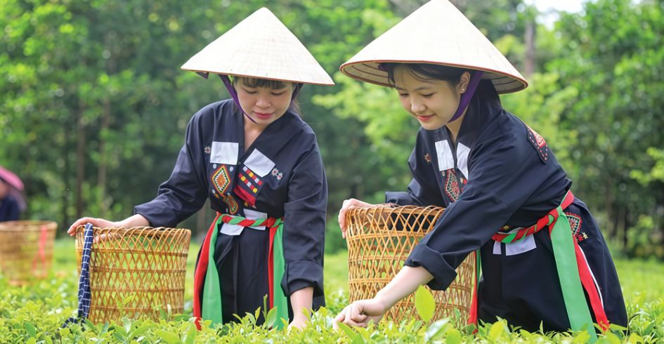 Khai mạc Liên hoan Chèo toàn quốc 2025 tại Bắc Ninh: Ngày hội tôn vinh tinh hoa nghệ thuật truyền thống