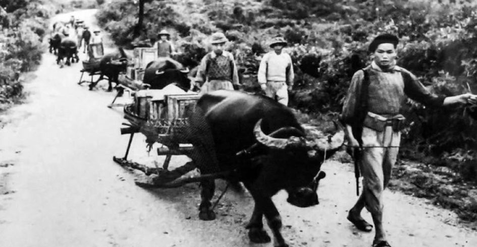 Khai mạc những ngày phim tài liệu kỷ niệm 70 năm Chiến thắng Điện Biên Phủ