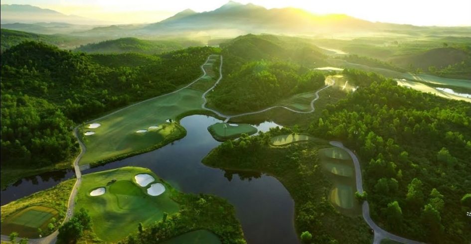 Cánh rừng từng nhận 2 kỷ lục Việt Nam đẹp mướt mát sắc xanh mùa nước nổi