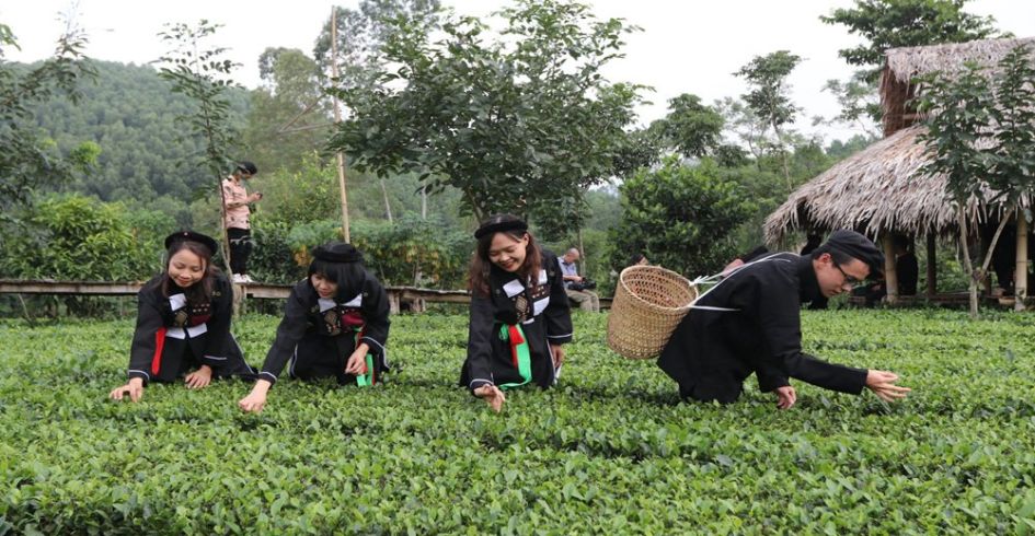 Khai thác lợi thế, phát triển du lịch "xanh"