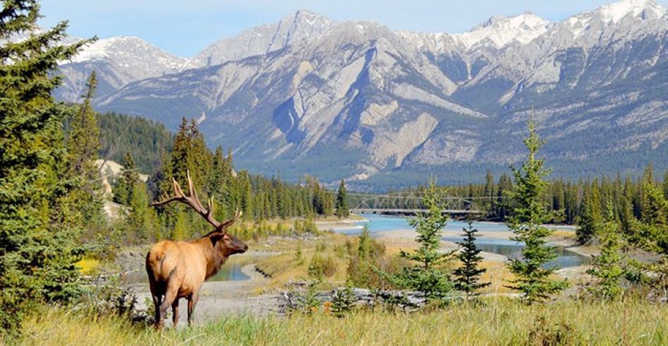 Du lịch bền vững là xu hướng nổi bật trong năm 2022