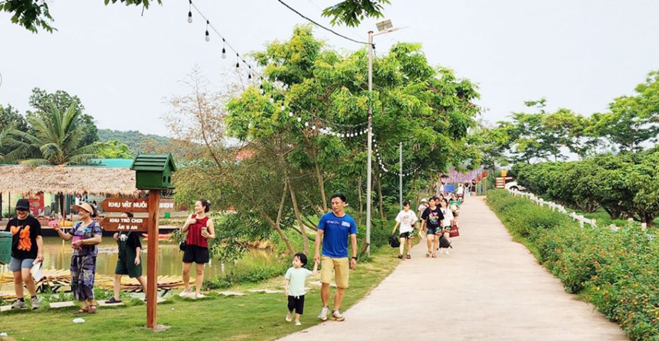 Vé máy bay tăng, các tour đường bộ hút khách