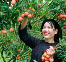 Vài nét văn hoá, tín ngưỡng trong tập tục của dân tôc Tày tỉnh Bắc Giang