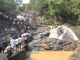 Quy hoạch rừng cảnh quan Suối Mỡ- Động lực cho phát triển du lịch 