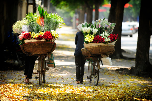 Hà Nội, Đà Nẵng vào top 10 điểm đến hấp dẫn châu Á