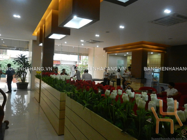  Thảo nguyên coffee