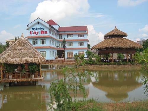 Nhà Hàng Cây Đa