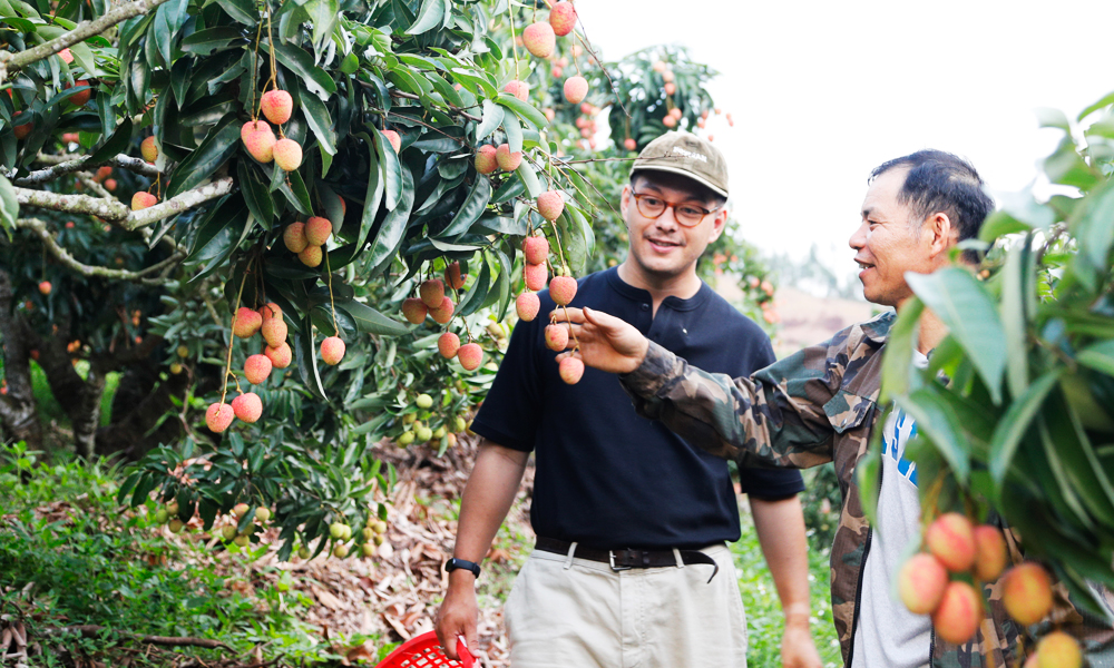 Phát triển du lịch gắn với xây dựng nông thôn mới