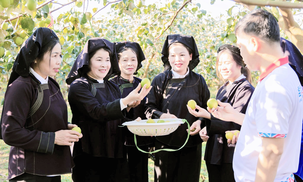 Du lịch cộng đồng ở Đại Sơn: Mở đường thoát nghèo bền vững