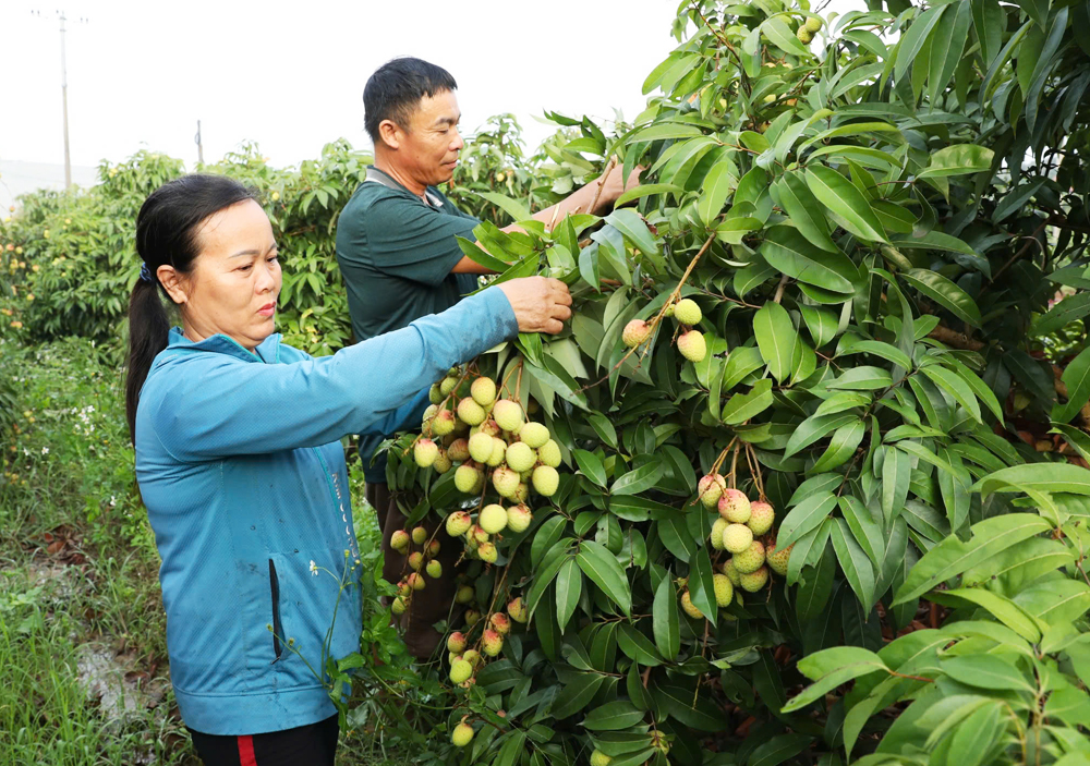 Hút khách mùa hè: Điểm du lịch đổi mới, đón thời cơ