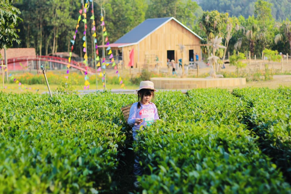 Khai thác tài nguyên văn hoá dân tộc trong phát triển du lịch cộng đồng vùng cao