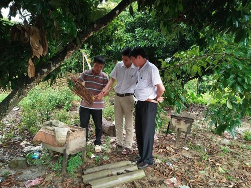 Hiệu quả từ hoạt động du lịch cộng đồng tại Khe Rỗ