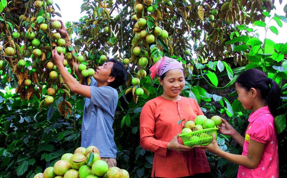 Bắc Giang - Nhiều thành tựu trong phát triển kinh tế xã hội