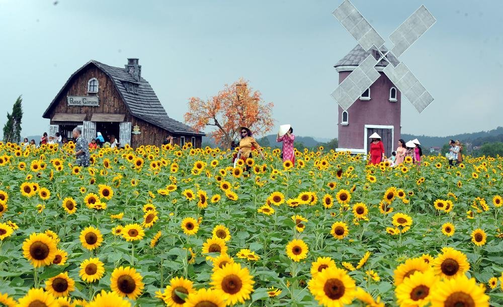 Các khu sinh thái, phim trường: Điểm đến của giới trẻ