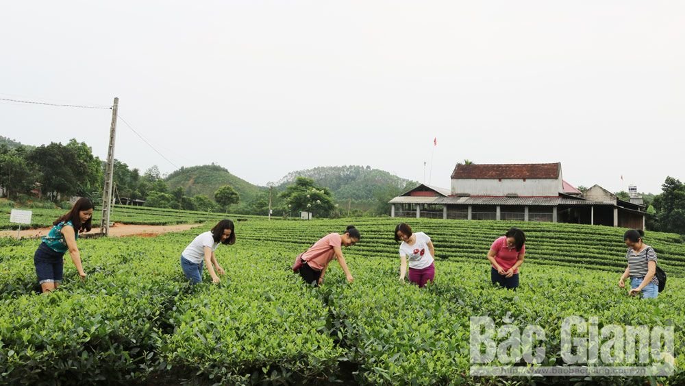 Du lịch xanh Xuân Lung - Thác Ngà
