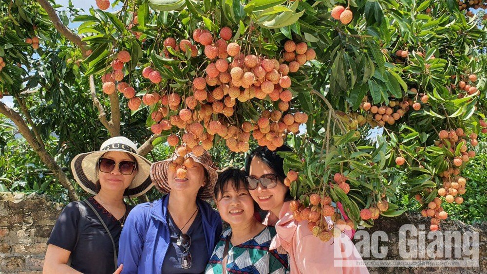 Du lịch nội địa tăng mạnh