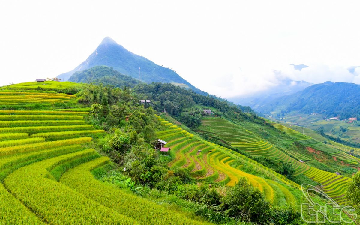 8 cung đường trekking tuyệt đẹp ở Việt Nam theo đề xuất của Lonely Planet