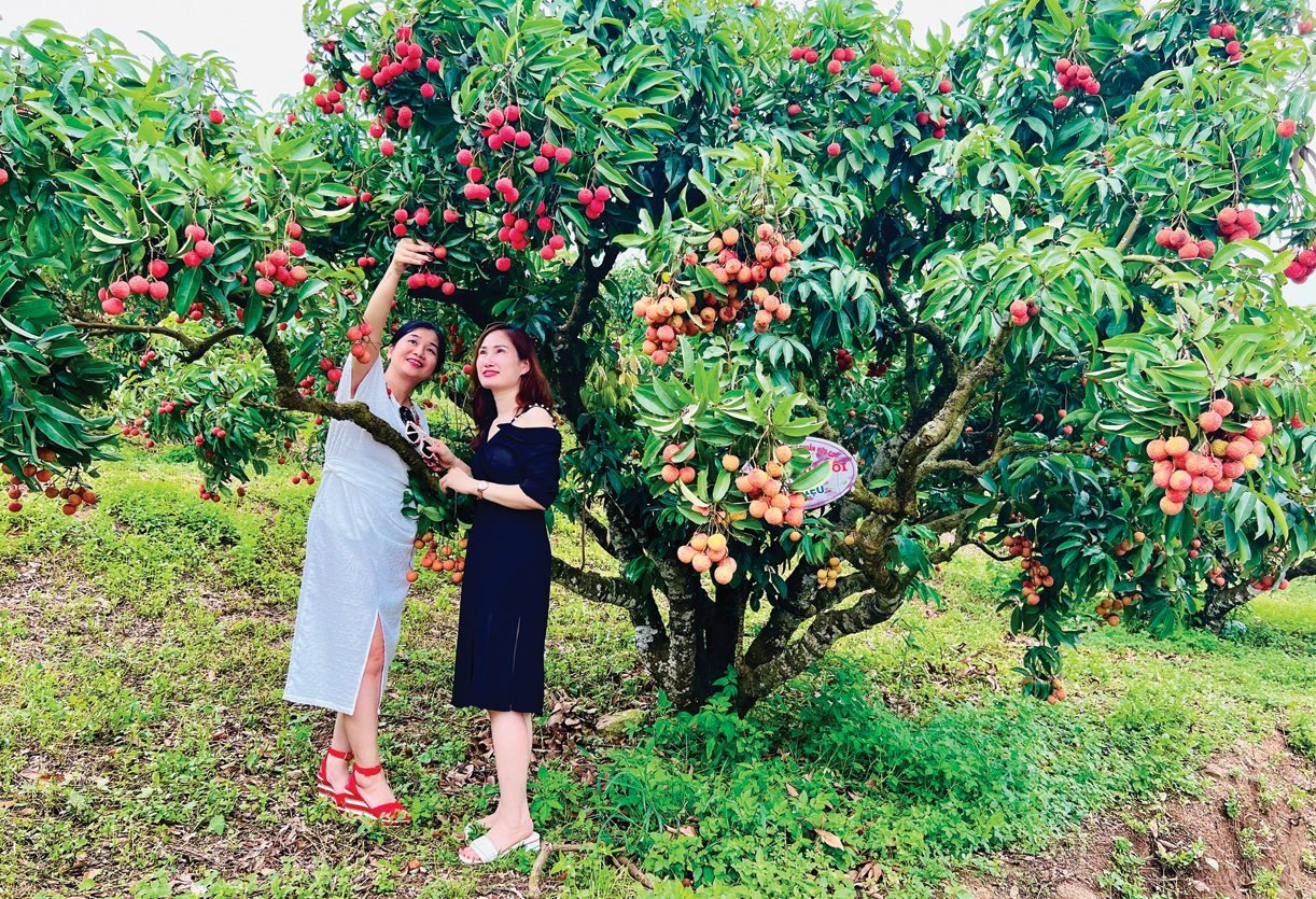 Bắc Giang: Điểm đến mới, hấp dẫn