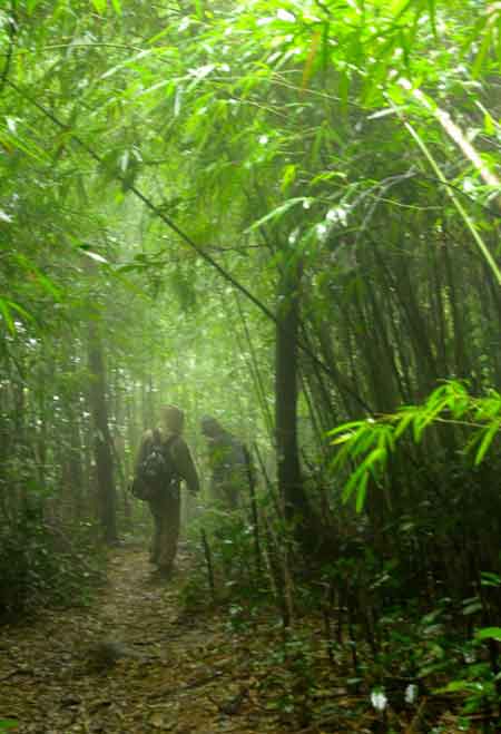 Hành hương về Tây Yên Tử