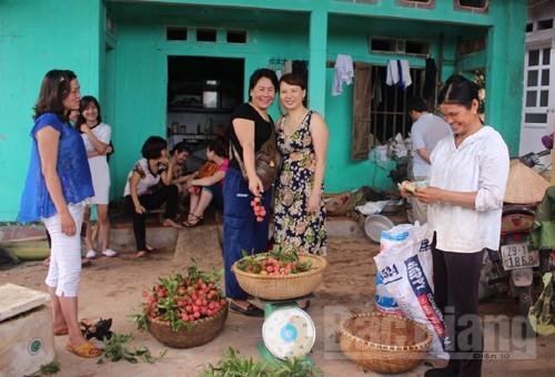 Du lịch, vùng đất, vải thiều, Lục Ngạn, Bắc Giang, trải nghiệm Du lịch, vùng đất, vải thiều, Lục Ngạn, Bắc Giang, trải nghiệm
