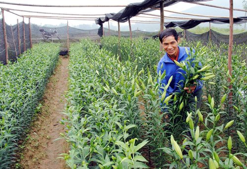 Bắc Giang nhiều thành tựu sau 20 năm tái lập tỉnh