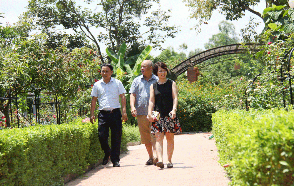 Biệt thự Hoa Hồng là nơi lý tưởng để tổ chức các sự kiện như họp lớp, cắm trại, chụp ảnh cưới. Biệt thự Hoa Hồng là nơi lý tưởng để tổ chức các sự kiện như họp lớp, cắm trại, chụp ảnh cưới.