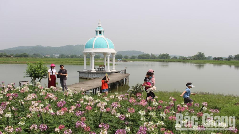 Khách tham quan phim trường Rose Garden, phường Đa Mai (TP Bắc Giang). Khách tham quan phim trường Rose Garden, phường Đa Mai (TP Bắc Giang).