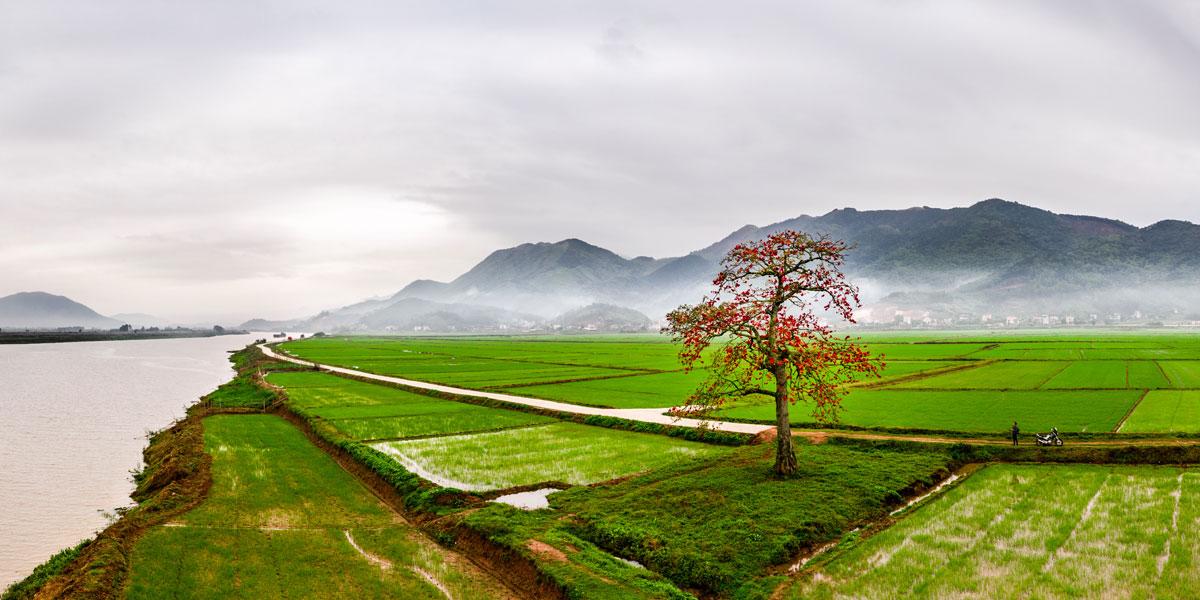 tuyệt phẩm, Bắc Giang, từ tr&ecirc;n cao, T&aacute;c giả, Th&agrave;nh Sơn, T&aacute;c giả Th&agrave;nh Sơn