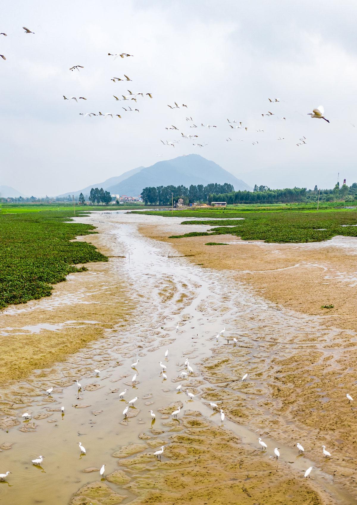 tuyệt phẩm, Bắc Giang, từ tr&ecirc;n cao, T&aacute;c giả, Th&agrave;nh Sơn, T&aacute;c giả Th&agrave;nh Sơn