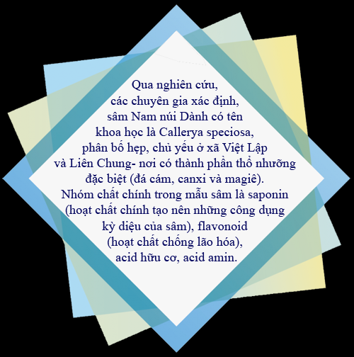Khu di tích núi Dành, hội tụ, sắc màu văn hóa, sản vật tiến Vua, nem nướng Liên Chung, sông Thương, điểm du lịch