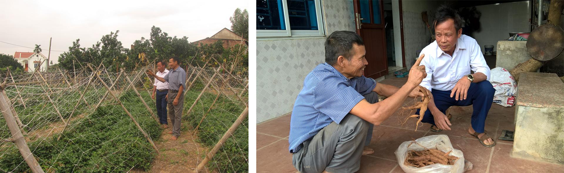 Khu di tích núi Dành, hội tụ, sắc màu văn hóa, sản vật tiến Vua, nem nướng Liên Chung, sông Thương, điểm du lịch