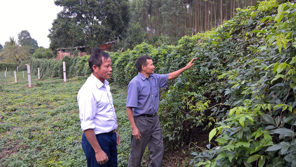Khu di tích núi Dành, hội tụ, sắc màu văn hóa, sản vật tiến Vua, nem nướng Liên Chung, sông Thương, điểm du lịch