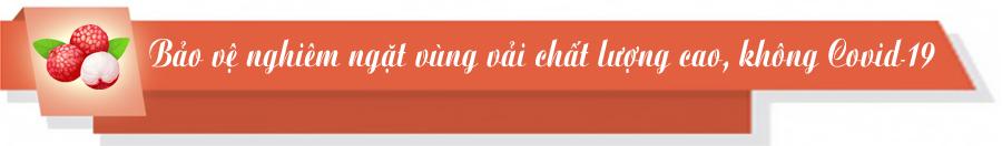 Vải thiều Bắc Giang, Covid - 19