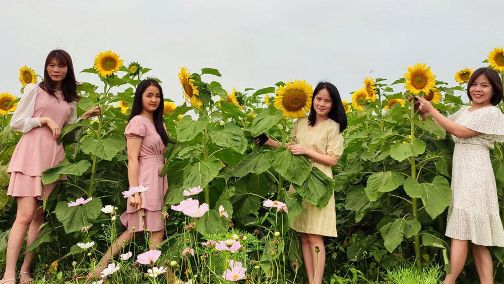 vườn hoa, điểm du lịch, trường Nông - Lâm, Bắc Giang, chụp ảnh vườn hoa, điểm du lịch, trường Nông - Lâm, Bắc Giang, chụp ảnh