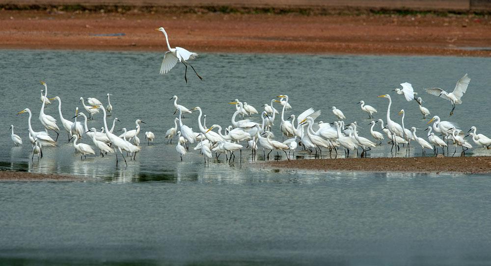 vườn hoa, điểm du lịch, trường Nông - Lâm, Bắc Giang, chụp ảnh vườn hoa, điểm du lịch, trường Nông - Lâm, Bắc Giang, chụp ảnh