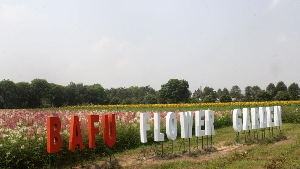 vườn hoa, điểm du lịch, trường Nông - Lâm, Bắc Giang, chụp ảnh vườn hoa, điểm du lịch, trường Nông - Lâm, Bắc Giang, chụp ảnh