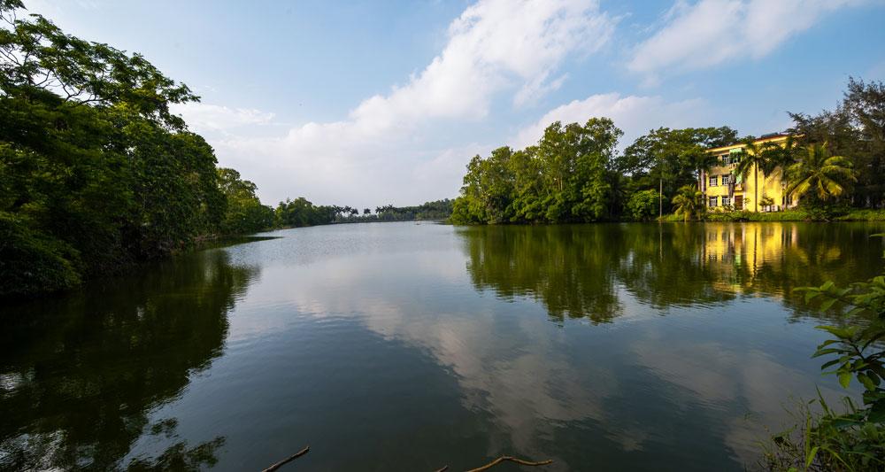vườn hoa, điểm du lịch, trường Nông - Lâm, Bắc Giang, chụp ảnh vườn hoa, điểm du lịch, trường Nông - Lâm, Bắc Giang, chụp ảnh