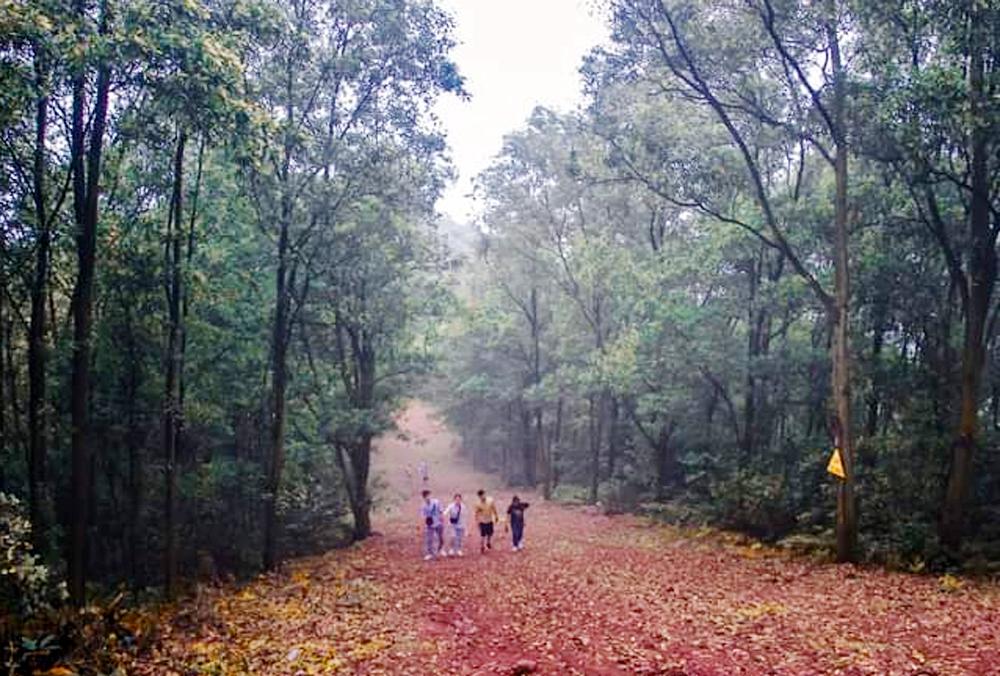 Cảnh sắc tươi đẹp trên đường lên Non Vua (Yên Dũng). Ảnh: Đoàn Quang. Cảnh sắc tươi đẹp trên đường lên Non Vua (Yên Dũng). Ảnh: Đoàn Quang.