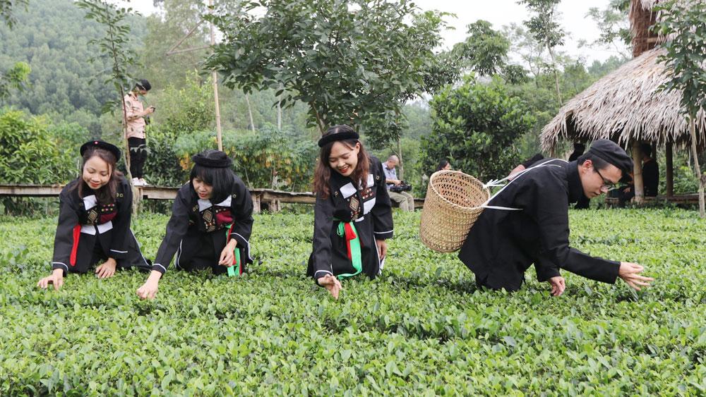 Du khách trải nghiệm hái chè tại điểm du lịch cộng đồng bản Ven, xã Xuân Lương (Yên Thế). Du khách trải nghiệm hái chè tại điểm du lịch cộng đồng bản Ven, xã Xuân Lương (Yên Thế).