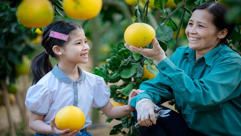 Ảnh minh hoạ: Dương tiến Dũng. Ảnh minh hoạ: Dương tiến Dũng.