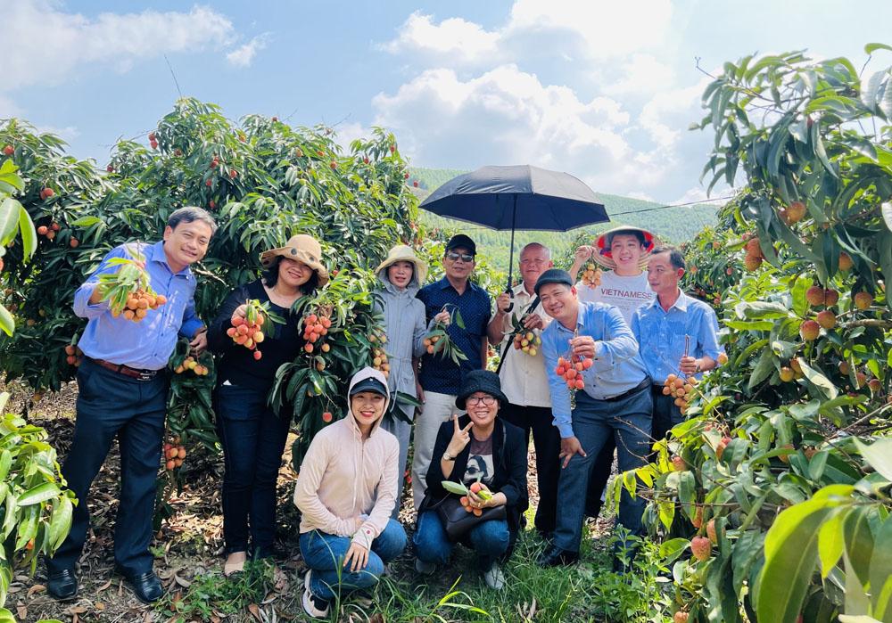 Du khách miền Nam tham quan vườn vải tại xã Mỹ An, huyện Lục Ngạn. Du khách miền Nam tham quan vườn vải tại xã Mỹ An, huyện Lục Ngạn.