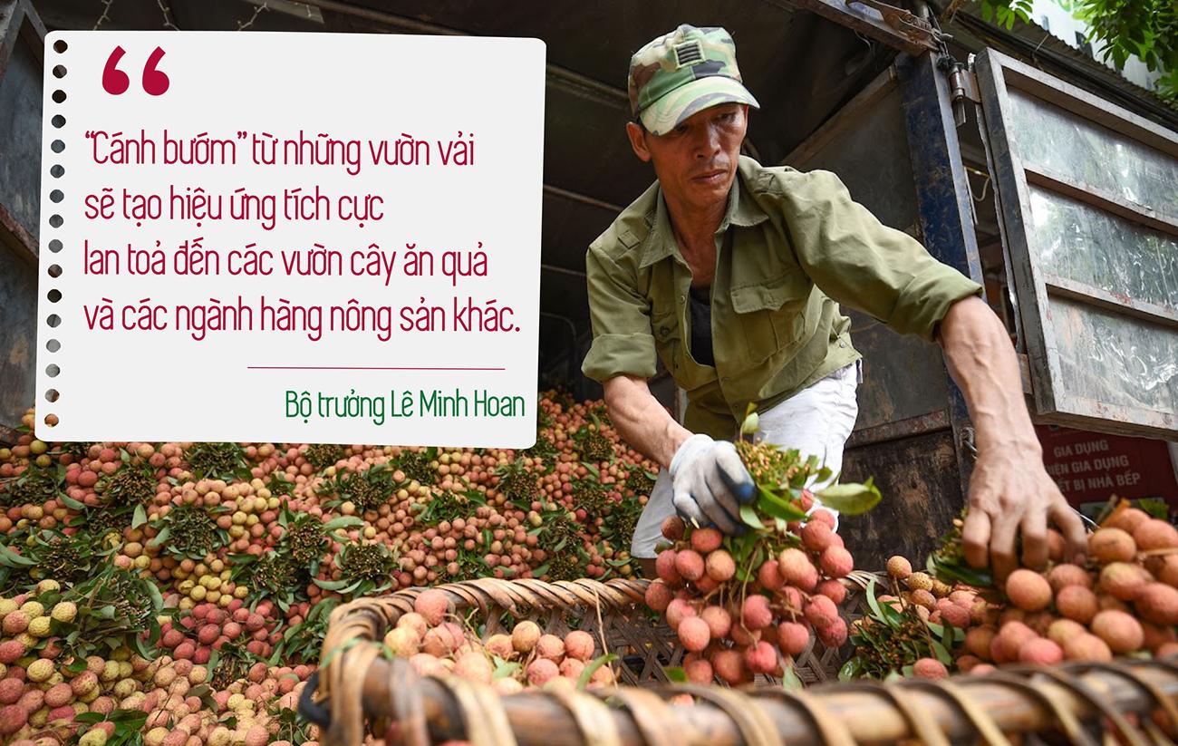 Cánh bướm Lục Ngạn, thương hiệu nông sản, Bắc Giang, nông sản Bắc Giang, Vải thiều Lục Ngạn, Vải thiều Bắc Giang Cánh bướm Lục Ngạn, thương hiệu nông sản, Bắc Giang, nông sản Bắc Giang, Vải thiều Lục Ngạn, Vải thiều Bắc Giang