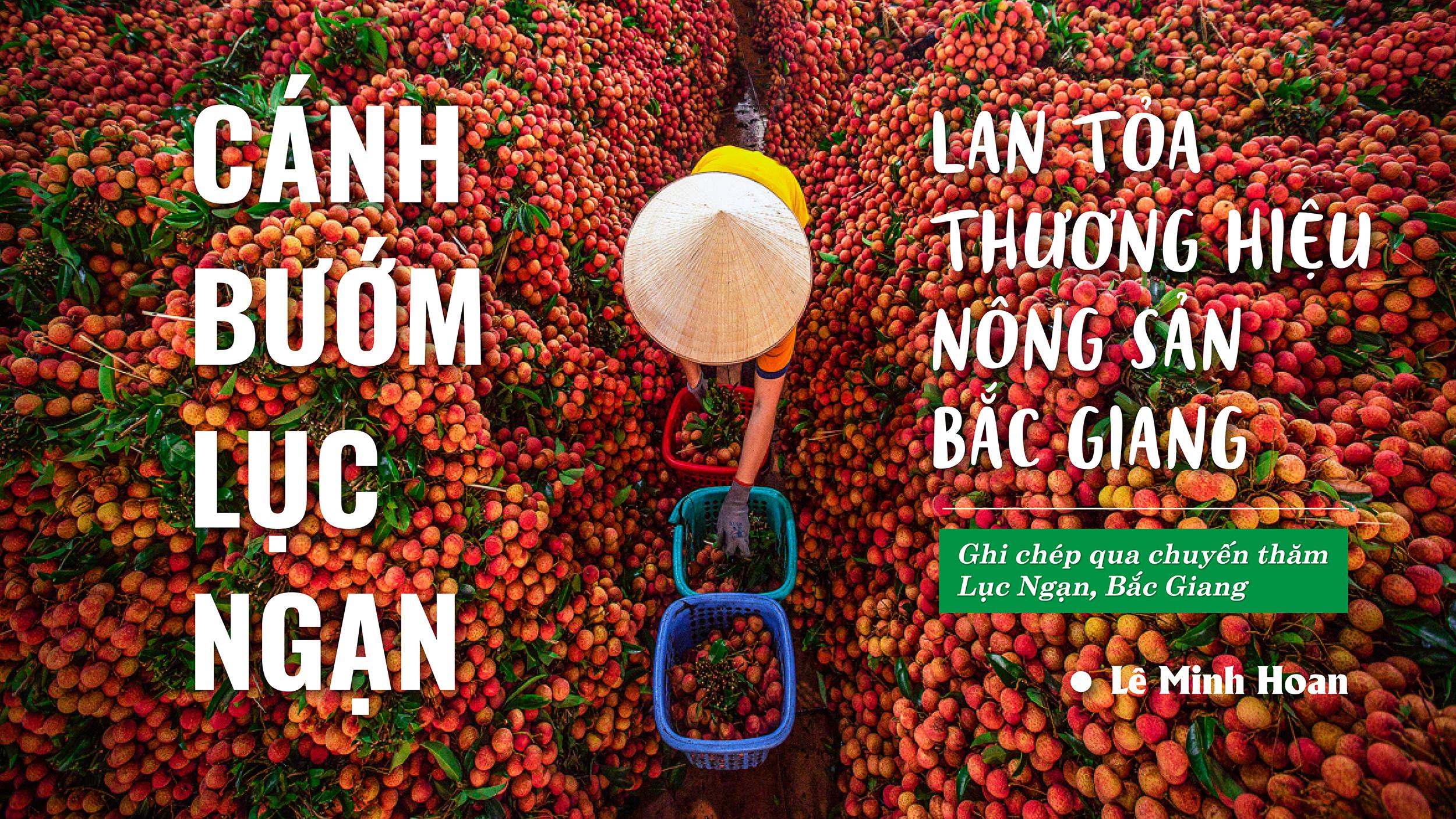Cánh bướm Lục Ngạn, thương hiệu nông sản, Bắc Giang, nông sản Bắc Giang, Vải thiều Lục Ngạn, Vải thiều Bắc Giang Cánh bướm Lục Ngạn, thương hiệu nông sản, Bắc Giang, nông sản Bắc Giang, Vải thiều Lục Ngạn, Vải thiều Bắc Giang