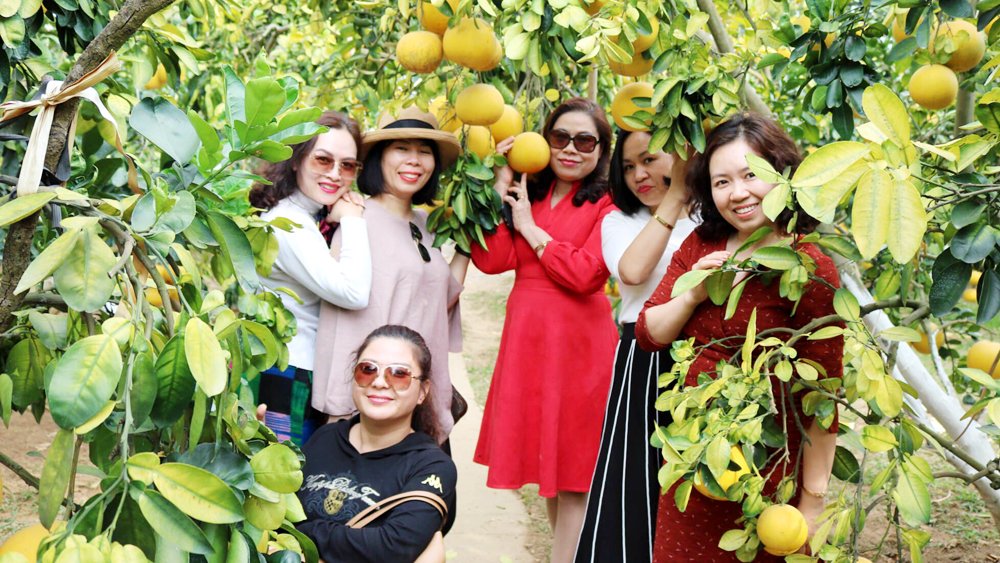 Du lịch Lục Ngạn mùa cam, bưởi: Tạo điểm nhấn để hút khách