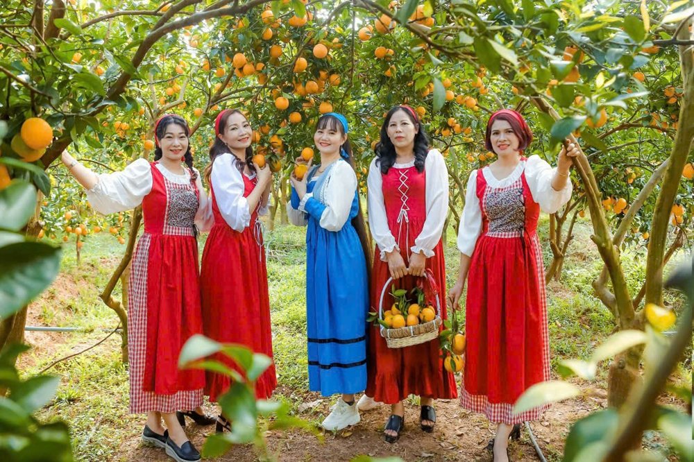 Lục Ngạn: Hút khách du lịch mùa cam, bưởi