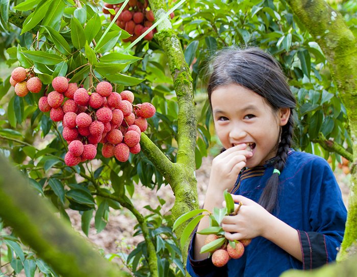 Du lịch cộng đồng - Hướng đi bền vững của Lục Ngạn